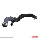 TUBO FLEXIBLE (3C3Z    -    8075-AE)